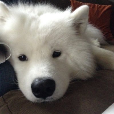 ioqain's profile picture. 