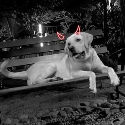 lovelylucky24's profile picture. 🖤naughty_boy_lucky🖤
❤Don't  love soon 😍
❤Don't hurt to fast 😓
❤Don't expect too high 🤗
❤Because it's hurts 😭
❤love is easy but I'm busy😎