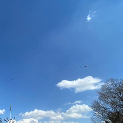 かえさん🍁さんのプロフィール画像
