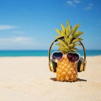 HardyOnTheBeach🏝 (@hardyonthebeach) 's Twitter Profile Photo HardyOnTheBeach🏝 (@hardyonthebeach) 's Twitter Profile Photo