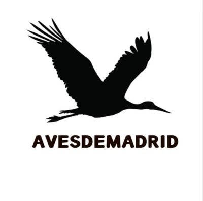 Observación de aves en Madrid. 🦉🦆

Proyecto de un estudiante de Geografía 💡