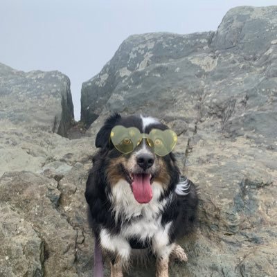 MsScherting's profile picture. Social Studies teacher in transition between states. All opinions are my own. 🌎🌍🌏 Using my account to nab #erastourtickets