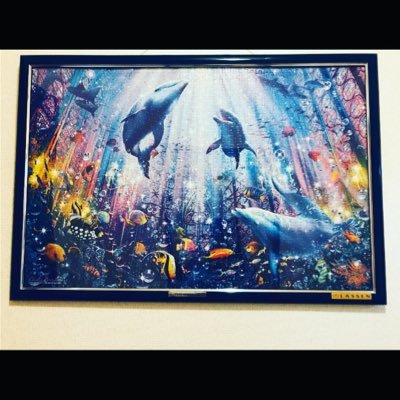 YSK_626412's profile picture. 【トレカ、競馬、F1】　無言フォロー失礼します。