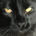 O (@oozh) Twitter profile photo O (@oozh) Twitter profile photo