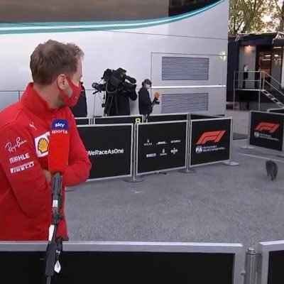 sebapologize's profile picture. i want sebastian vettel to break the curse