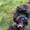 Olly Carr - @OllyCarr10 - Twitter