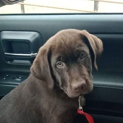 JerryCoggins4's profile picture. 