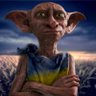 Dobby_Go's profile picture. Наставник домашніх ельфів 🇺🇦