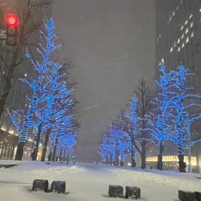 ほぼ勢いで埼玉から北海道に移住してきました！北海道の冬２シーズンめ、まだまだ不慣れですが、お友達が増やせればなと思っています！