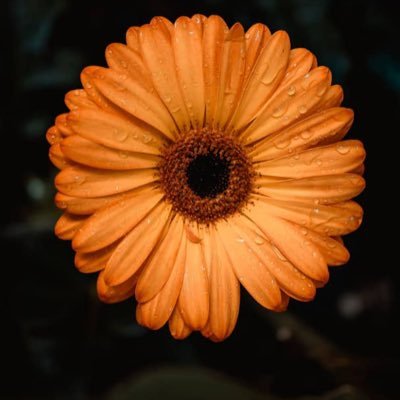 iceberg7t's profile picture. Influencer •|| Follow for follow back immediately 🙏




🔗 https://t.co/fbm9qAIpUS