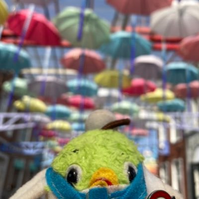 ｾ🔰 (@se7219) / Posts / X