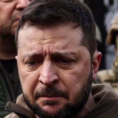 markwhite1949's profile picture. 