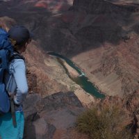 Andi McClatchey (@amcclatcheyphd) 's Twitter Profile