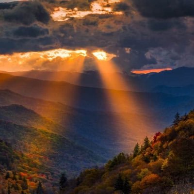 OSINT_Amateur's profile picture. OSINT Researcher. Any opinions are my own.