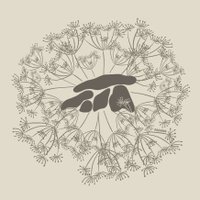 The Standing Stone (@standingstoneie) Twitter profile photo
