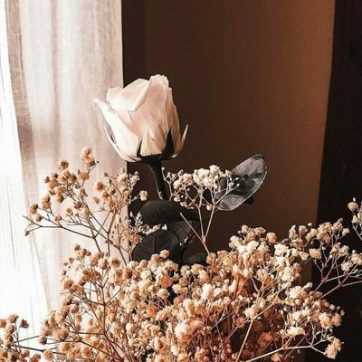 mellapuspitasr's profile picture. 