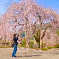you@SR400 (@you_like_life) Twitter profile photo