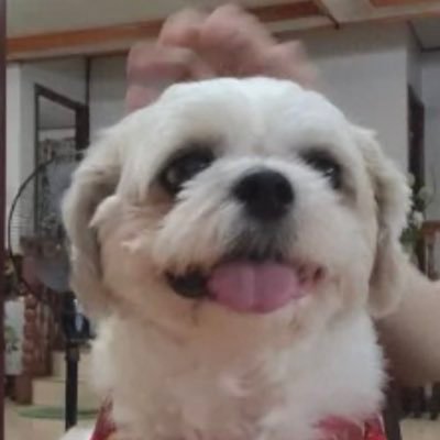 kolokoysky's profile picture. 