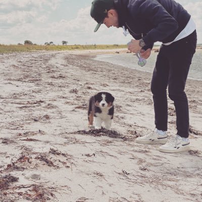 BVB, Green Bay Packers und Hunde, that‘s it, that‘s the bio.