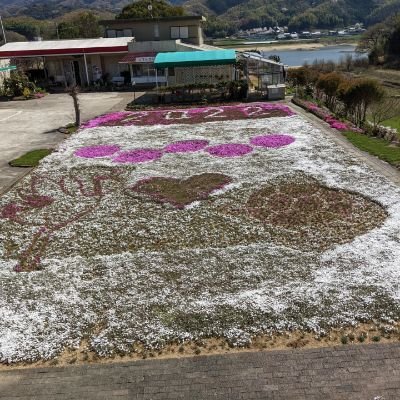 うどん県在住、人見知りアラフォー。
EXIT大好き❤
いつかライブ行くのが夢😻
ジッター様無言フォロー&いいねー失礼。
逆は大歓迎🥰
自宅では少食&お風呂🛀が壊れ中の為、平日デイケア通い中。
右骨盤骨折した過去あり、金具も入ってます。
緑内障&白内障あり。
タメ口Welcome👌