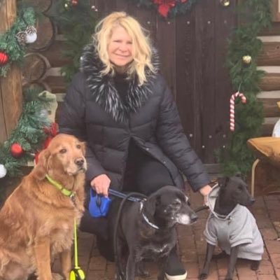 gentile_kate's profile picture. 