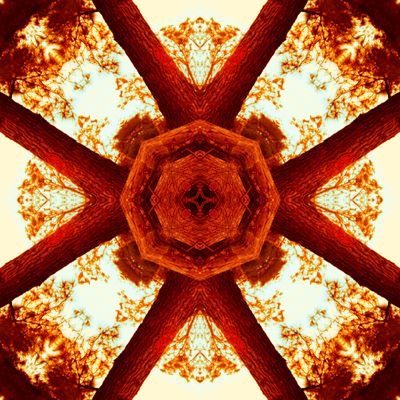 This is a collection of mirror images of nature created from my own photographs. It's a collection with over 100 different and unique images.