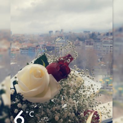 ZahraKamal11's profile picture. ♎ ♡ P.E , Born to be free🖤