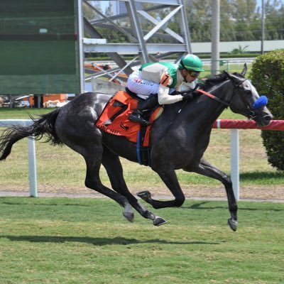 Fergalvin's profile picture. 