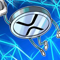 XRP!!is our future (@xrp1_is_future) 's Twitter Profile