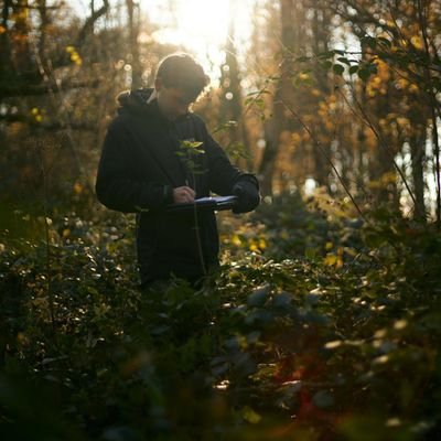 Conservation, ecology, and inverts / Wildlife photos / PhD student @UniOfNewcastle: urban greenspace, network ecology, BNG
