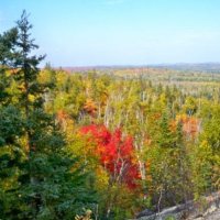 Michael (@michael32538081) 's Twitter Profile