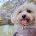 モナカの成長日記🐾 (@monacakun) Twitter profile photo モナカの成長日記🐾 (@monacakun) Twitter profile photo