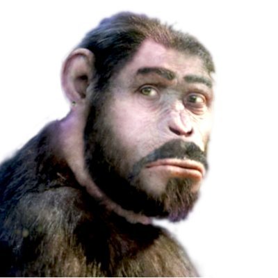 suburbape's profile picture. Your Lust in Multy Meta Suburbs