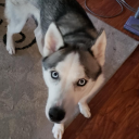 InkDarker's profile picture. Hey, I'm DarkerInk. I code things in my free time. I love cats & otters and shows like House MD.