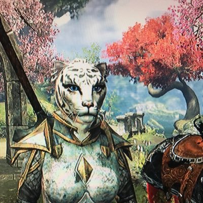 PC and Switch gamer, Twitch affiliate. Mostly play @TESOnline