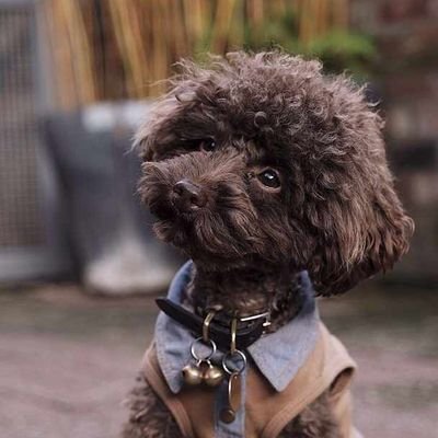 elsa_dave's profile picture. ❤😍