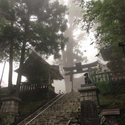 fx03476051's profile picture. 月読fxTwitter