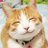 グリエスのアイコン