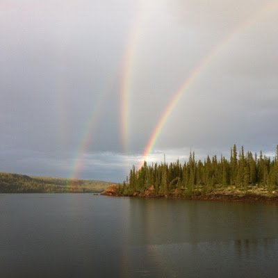 grantg981's profile picture. 