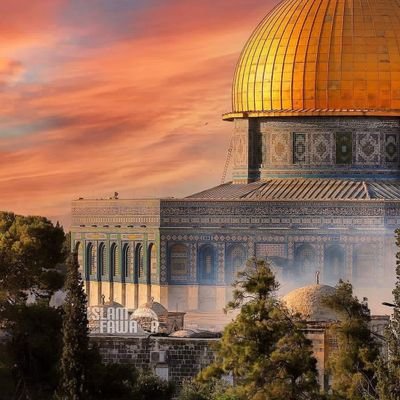 Layla85481261's profile picture. 