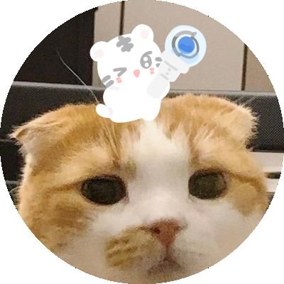 ppEJ🌈さんのプロフィール画像