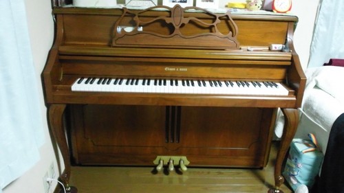 poohnyanya's profile picture. 