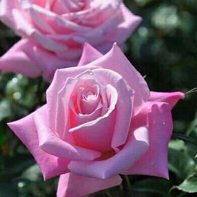 JS25019410's profile picture. https://t.co/v2BDDJp8uC