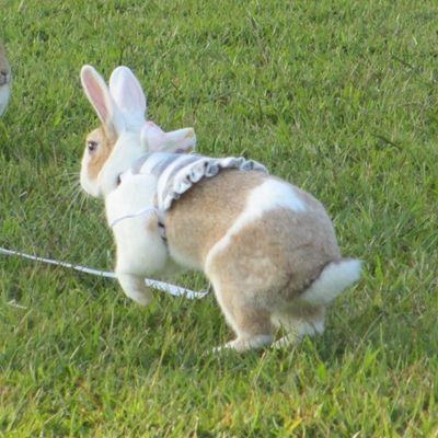 rafiki0527's profile picture. ディズニー大好き♥️２児のママです🎵