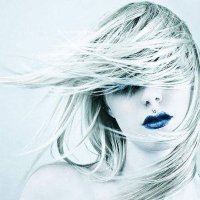 UnbrokenD (@cryptoalliner) 's Twitter Profile