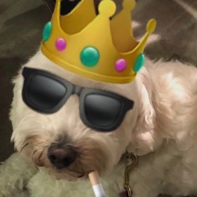 LuisGue07091688's profile picture. Held together with twine and good intentions.