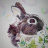 neko_neiko0815's profile picture. うさぎ🐰の小晴(こはる)男の子
9歳と暮らしています
8月15日誕生日

性格はクールですが可愛い子です

私はうつ病患者です
ままならない事もありますが元気に
過ごしています
イラスト描くのが好きです