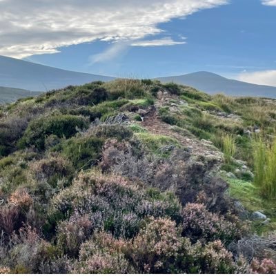 A walking journey across Scotland. Strolls. Walks. Hillwalking. Munro bagging.           🏔 72/282  🏔️ 1/222