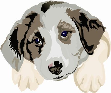 MellowDawg's profile picture. #LogoSWAG #PromotionalProducts #CustomApparel #DogLover