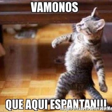 fedcon2022's profile picture. Solo vengo a checar las noticias.